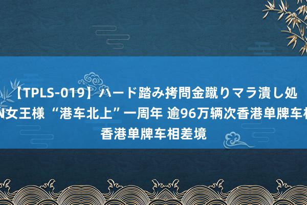 【TPLS-019】ハード踏み拷問金蹴りマラ潰し処刑 JUN女王様 “港车北上”一周年 逾96万辆次香港单牌车相差境