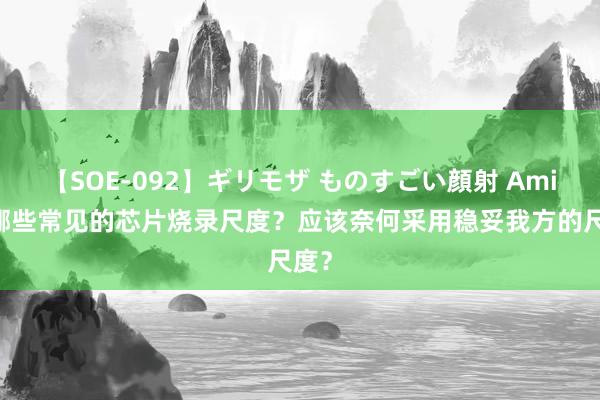 【SOE-092】ギリモザ ものすごい顔射 Ami 有哪些常见的芯片烧录尺度？应该奈何采用稳妥我方的尺度？