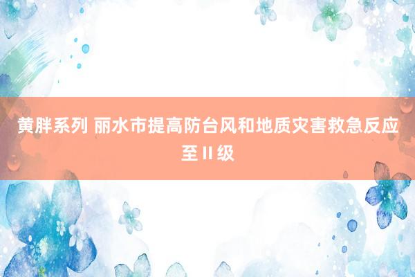 黄胖系列 丽水市提高防台风和地质灾害救急反应至Ⅱ级