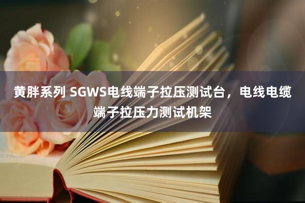 黄胖系列 SGWS电线端子拉压测试台，电线电缆端子拉压力测试机架