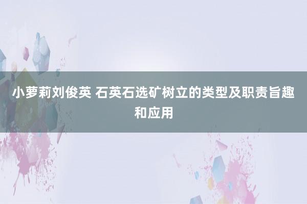 小萝莉刘俊英 石英石选矿树立的类型及职责旨趣和应用