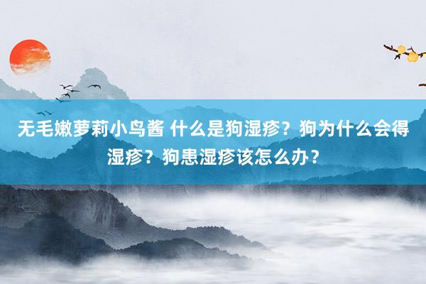 无毛嫩萝莉小鸟酱 什么是狗湿疹？狗为什么会得湿疹？狗患湿疹该怎么办？