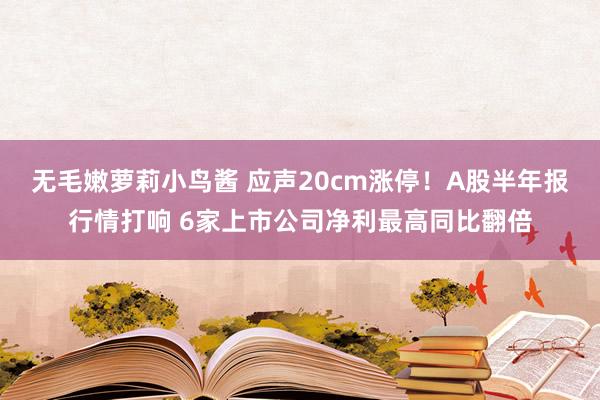 无毛嫩萝莉小鸟酱 应声20cm涨停！A股半年报行情打响 6家上市公司净利最高同比翻倍