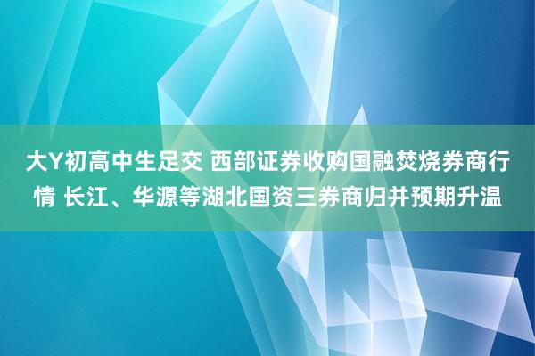 大Y初高中生足交 西部证券收购国融焚烧券商行情 长江、华源等湖北国资三券商归并预期升温