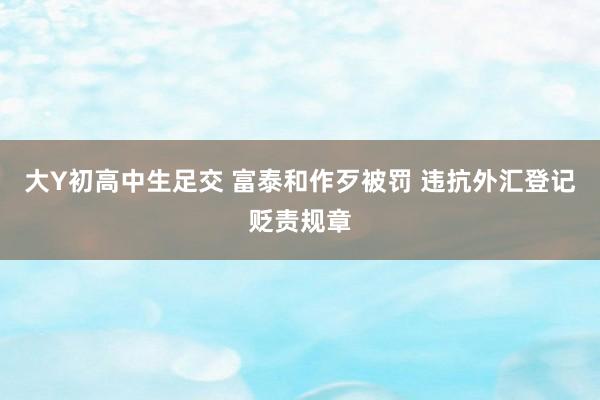 大Y初高中生足交 富泰和作歹被罚 违抗外汇登记贬责规章