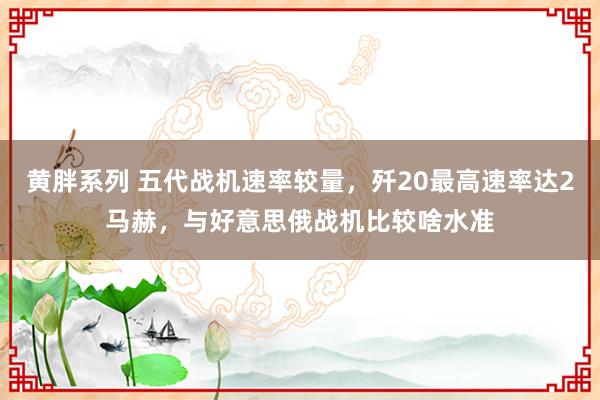 黄胖系列 五代战机速率较量，歼20最高速率达2马赫，与好意思俄战机比较啥水准