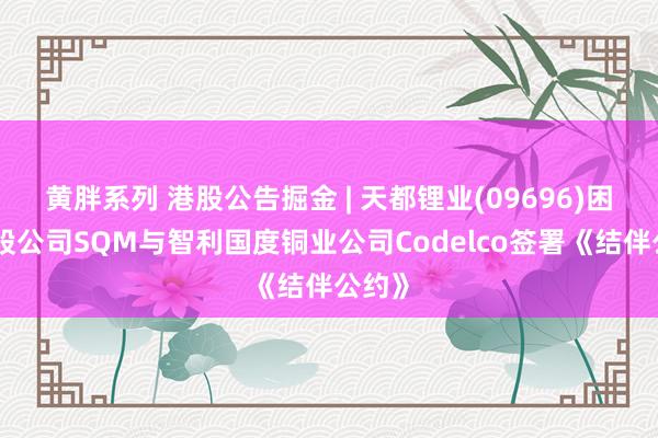 黄胖系列 港股公告掘金 | 天都锂业(09696)困难参股公司SQM与智利国度铜业公司Codelco签署《结伴公约》