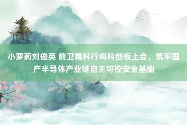 小萝莉刘俊英 前卫精科行将科创板上会，筑牢国产半导体产业链自主可控安全基础