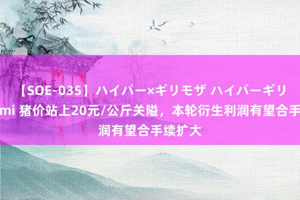 【SOE-035】ハイパー×ギリモザ ハイパーギリモザ Ami 猪价站上20元/公斤关隘，本轮衍生利润有望合手续扩大