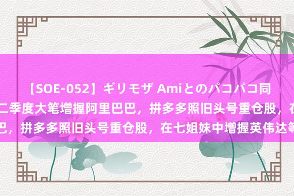 【SOE-052】ギリモザ Amiとのパコパコ同棲生活 Ami 高瓴HHLR二季度大笔增握阿里巴巴，拼多多照旧头号重仓股，在七姐妹中增握英伟达等