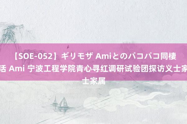 【SOE-052】ギリモザ Amiとのパコパコ同棲生活 Ami 宁波工程学院青心寻红调研试验团探访义士家属