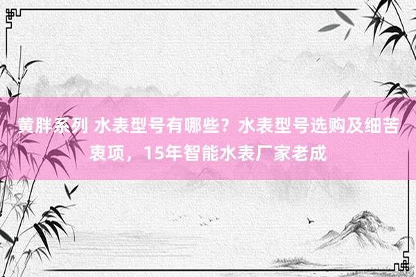 黄胖系列 水表型号有哪些？水表型号选购及细苦衷项，15年智能水表厂家老成