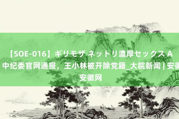 【SOE-016】ギリモザ ネットリ濃厚セックス Ami 中纪委官网通报，王小林被开除党籍_大皖新闻 | 安徽网