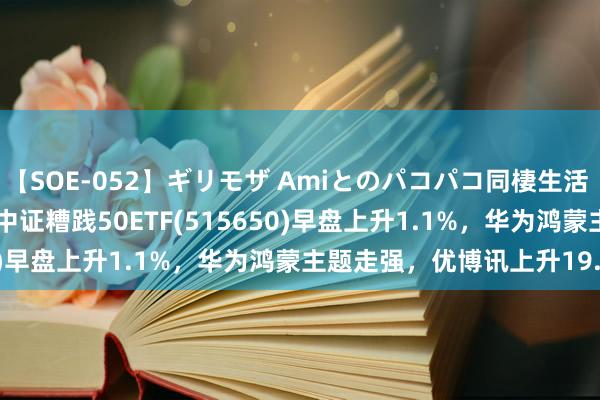 【SOE-052】ギリモザ Amiとのパコパコ同棲生活 Ami ETF最前哨 | 富国中证糟践50ETF(515650)早盘上升1.1%，华为鸿蒙主题走强，优博讯上升19.97%