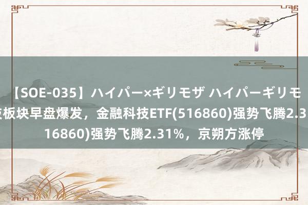 【SOE-035】ハイパー×ギリモザ ハイパーギリモザ Ami 金融科技板块早盘爆发，金融科技ETF(516860)强势飞腾2.31%，京朔方涨停