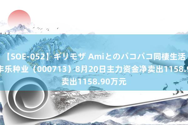 【SOE-052】ギリモザ Amiとのパコパコ同棲生活 Ami 丰乐种业（000713）8月20日主力资金净卖出1158.90万元