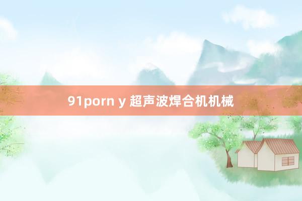 91porn y 超声波焊合机机械