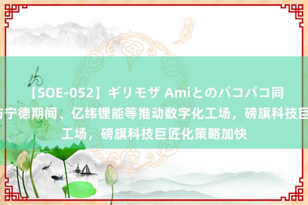 【SOE-052】ギリモザ Amiとのパコパコ同棲生活 Ami 与宁德期间、亿纬锂能等推动数字化工场，磅旗科技巨匠化策略加快