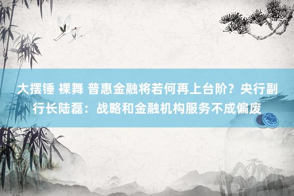 大摆锤 裸舞 普惠金融将若何再上台阶？央行副行长陆磊：战略和金融机构服务不成偏废