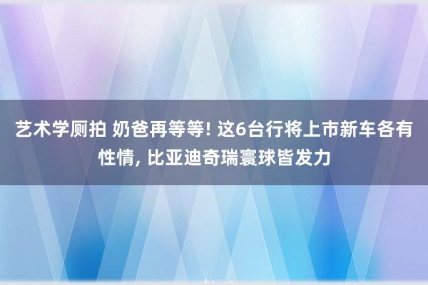 艺术学厕拍 奶爸再等等! 这6台行将上市新车各有性情， 比亚迪奇瑞寰球皆发力