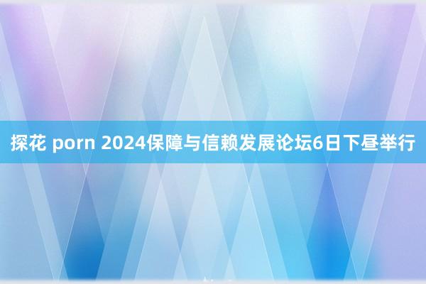 探花 porn 2024保障与信赖发展论坛6日下昼举行