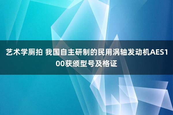 艺术学厕拍 我国自主研制的民用涡轴发动机AES100获颁型号及格证