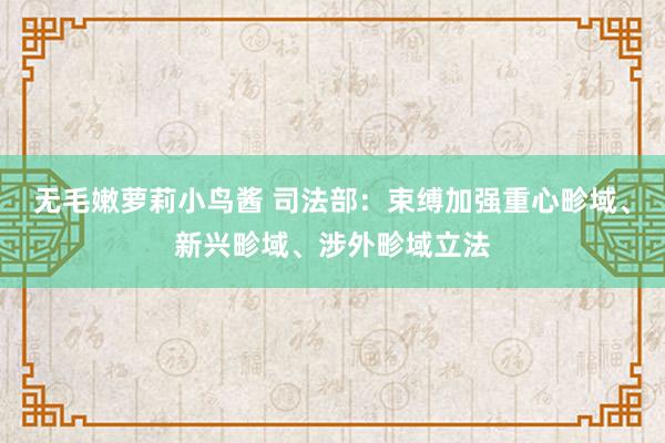 无毛嫩萝莉小鸟酱 司法部：束缚加强重心畛域、新兴畛域、涉外畛域立法