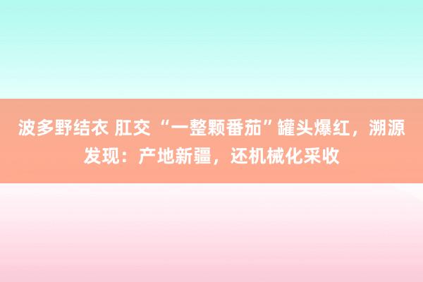 波多野结衣 肛交 “一整颗番茄”罐头爆红，溯源发现：产地新疆，还机械化采收