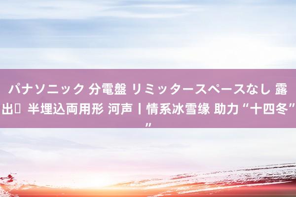 パナソニック 分電盤 リミッタースペースなし 露出・半埋込両用形 河声丨情系冰雪缘 助力“十四冬”