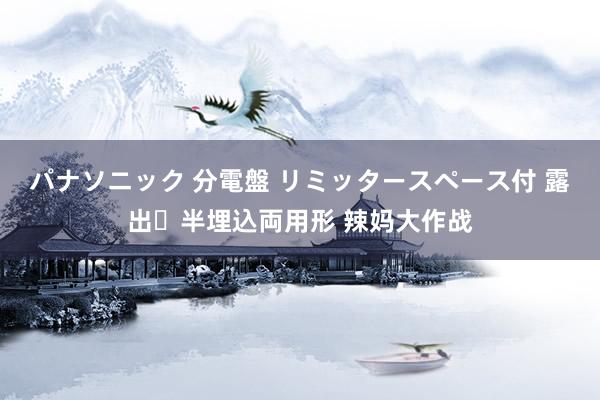 パナソニック 分電盤 リミッタースペース付 露出・半埋込両用形 辣妈大作战