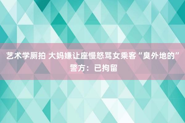 艺术学厕拍 大妈嫌让座慢怒骂女乘客“臭外地的” 警方：已拘留