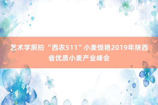 艺术学厕拍 “西农511”小麦惊艳2019年陕西省优质小麦产业峰会