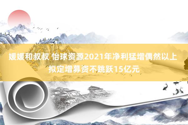 媛媛和叔叔 怡球资源2021年净利猛增偶然以上 拟定增募资不跳跃15亿元