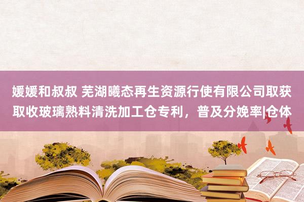 媛媛和叔叔 芜湖曦态再生资源行使有限公司取获取收玻璃熟料清洗加工仓专利，普及分娩率|仓体