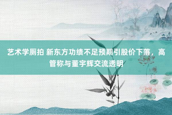 艺术学厕拍 新东方功绩不足预期引股价下落，高管称与董宇辉交流透明