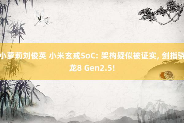 小萝莉刘俊英 小米玄戒SoC: 架构疑似被证实, 剑指骁龙8 Gen2.5!